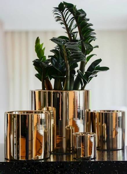 31.099.16 WALEC GOLD