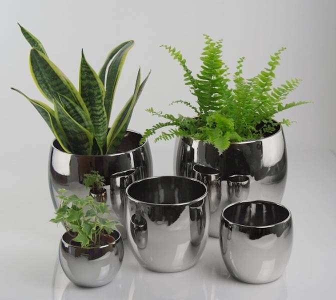 31.068.23 KULA SILVER