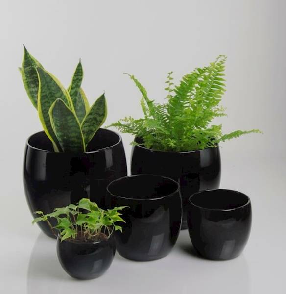 31.070.15 KULA BLACK