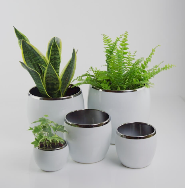 31.073.15 KULA WHITE & SILVER