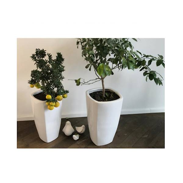 01.501. 57/61 KPL 2SZT.  DONICA CAMILA BIAŁA