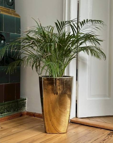 01.512. 57/61 KPL 2SZT.  DONICA CAMILA GOLD