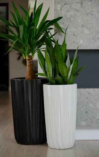 01.525. 56/59 KPL 2SZT. 