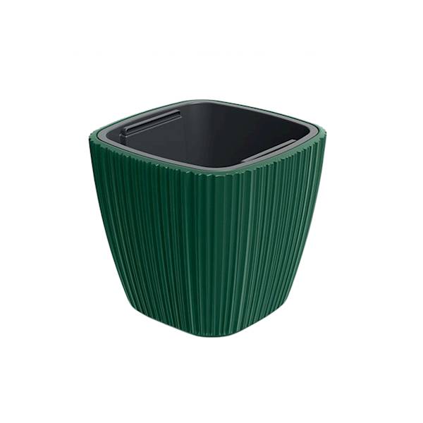 DONICZKA ORO SQUARE DBOS400 ZIELONA PINIA