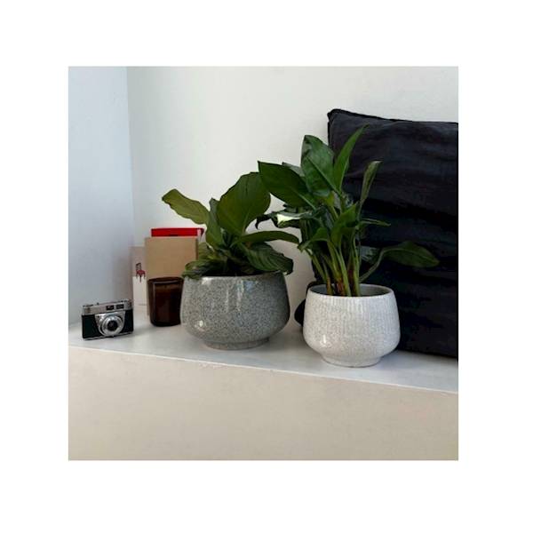 01.711. 15/19/26 KPL 3SZT.