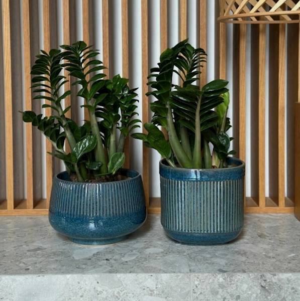 01.703. 13/17/22 KPL 3SZT. 