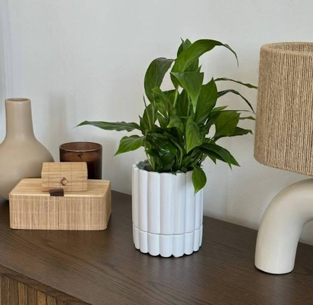 05.456.14 | donica z podst.