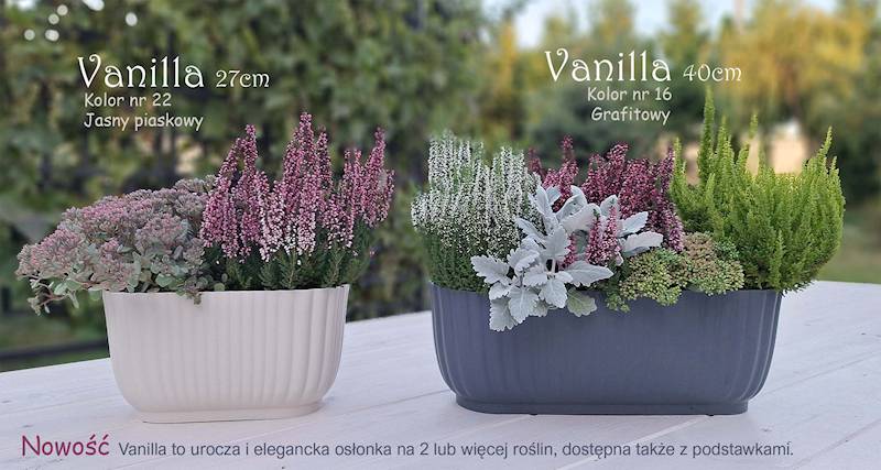 OSŁONKA VANILLA 27cm
