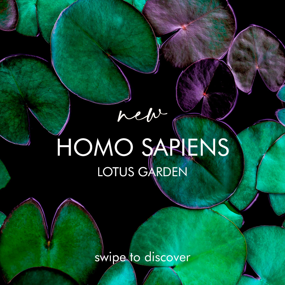 HOMO SAPIENS LOTUS GARDEN