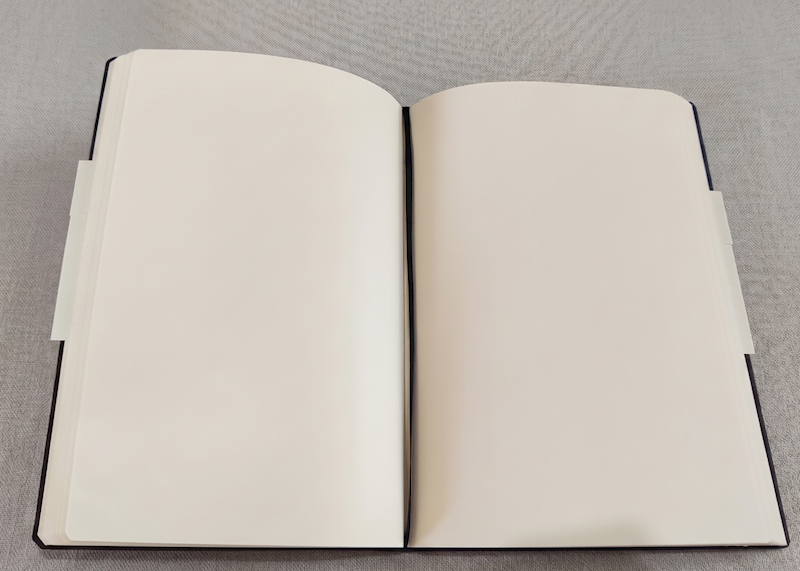 VISCONTI KQ06-DIARY HOMO SAPIENS 145X210mm