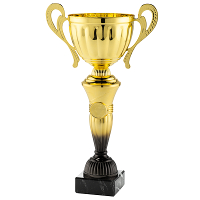 Puchar MT151-5 gold