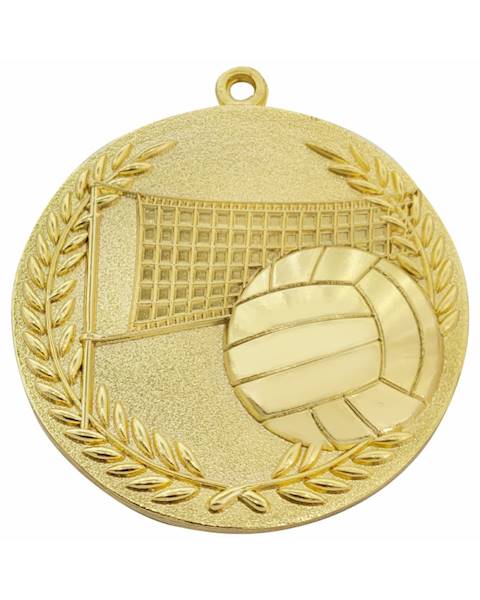 Medal M133 siatkówka
