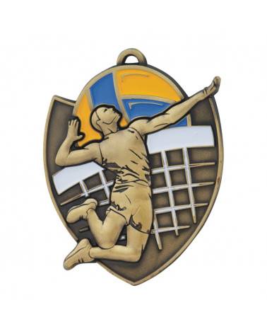 M10 siatkówka