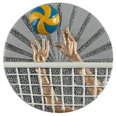 Emblemat DX06 siatkówka