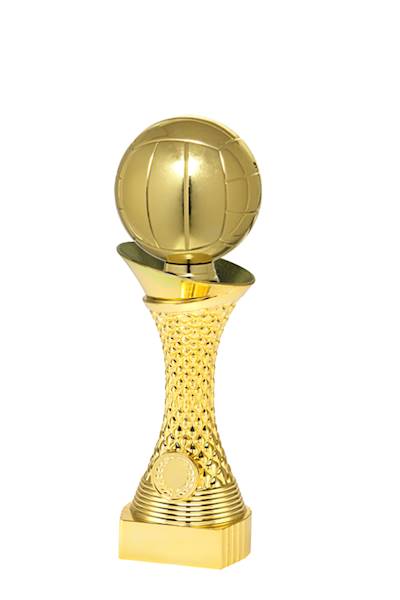 Q506 gold siatkówka