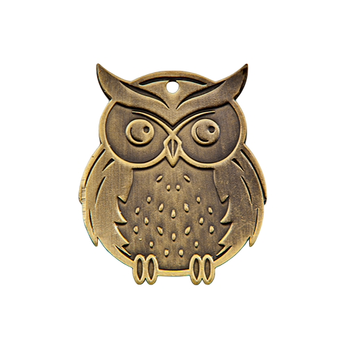 Medal Q11 sowa nauka