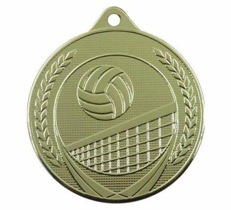 Medal ME617 z siatkówka