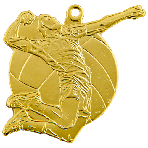 Medal Q9 siatkówka w ETUI