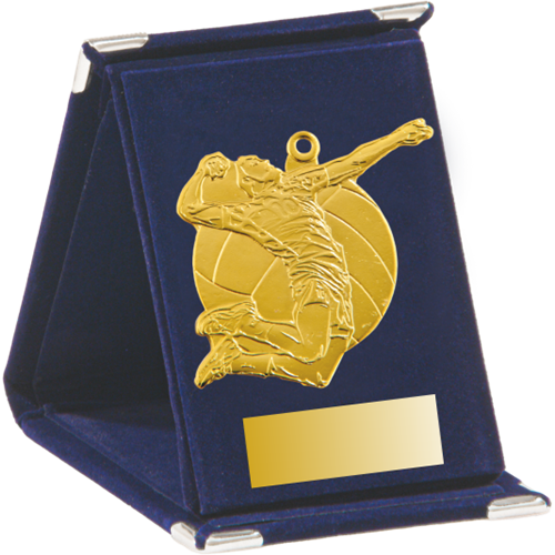Medal Q9 siatkówka w ETUI
