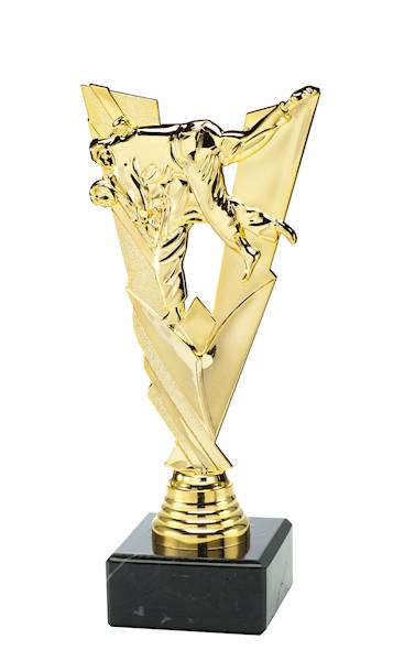 Statuetka P191 judo