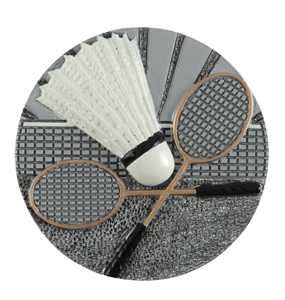 Emblemat DX14 badminton