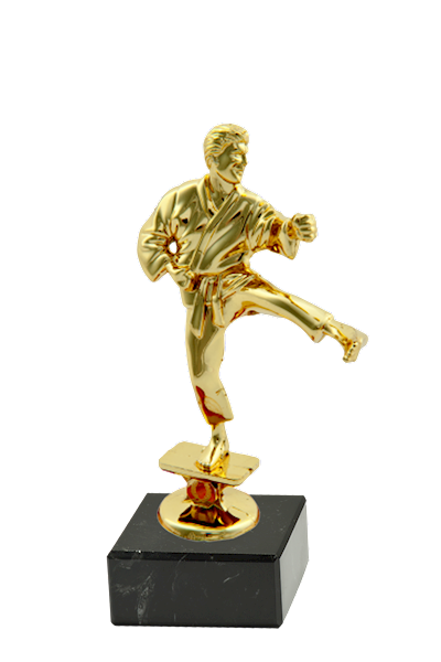 Statuetka FK03G karateka