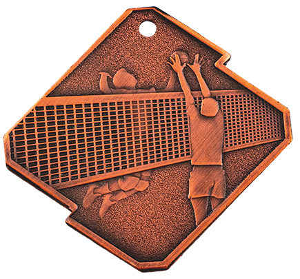 Medal Q16 B siatkówka