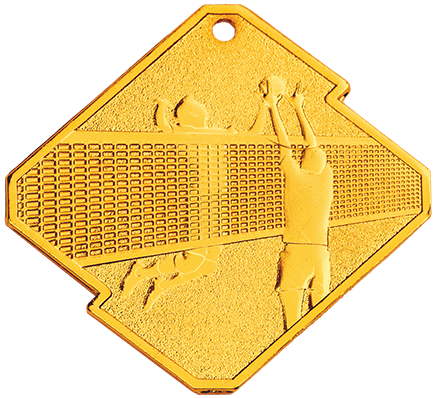 Medal Q16 z siatkówka