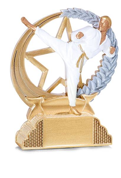 Statuetka 31320 karate