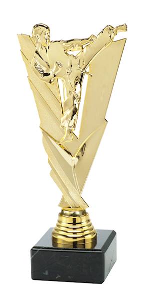 Statuetka ST208 karate