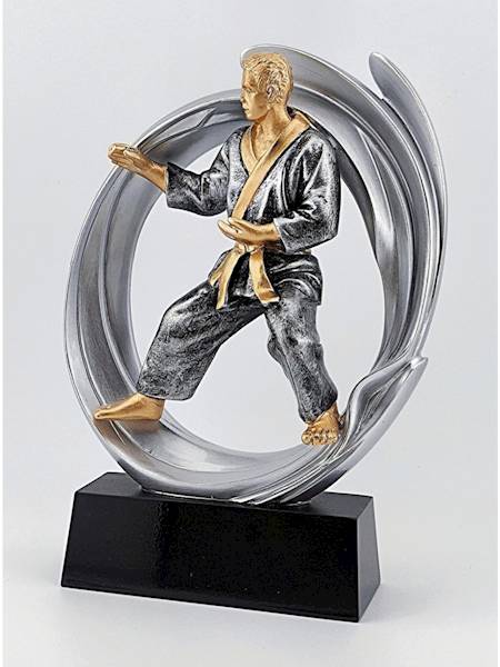 Statueka DRX014 karate
