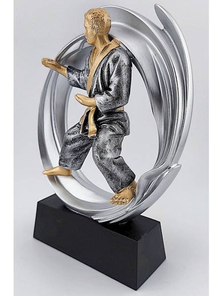 Statueka DRX014 karate