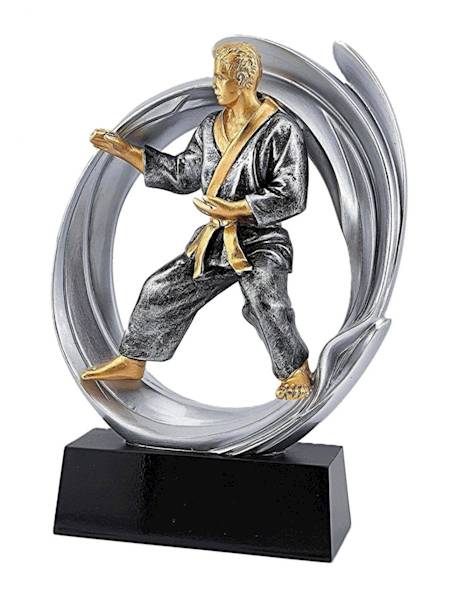 Statueka DRX014 karate
