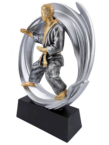 Statueka DRX014 karate