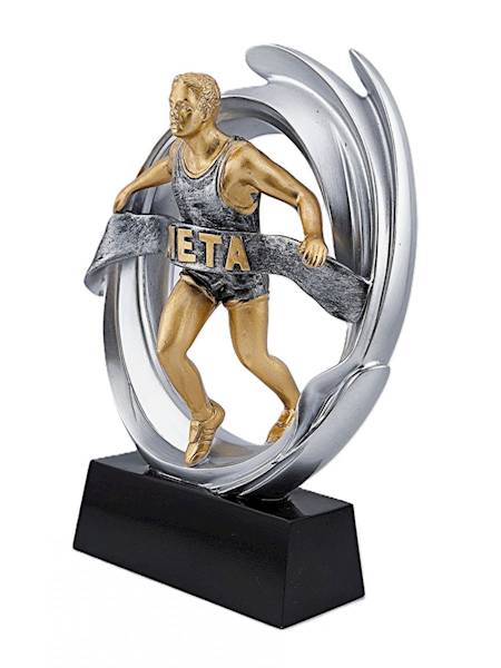 Statueka DRX010 biegi