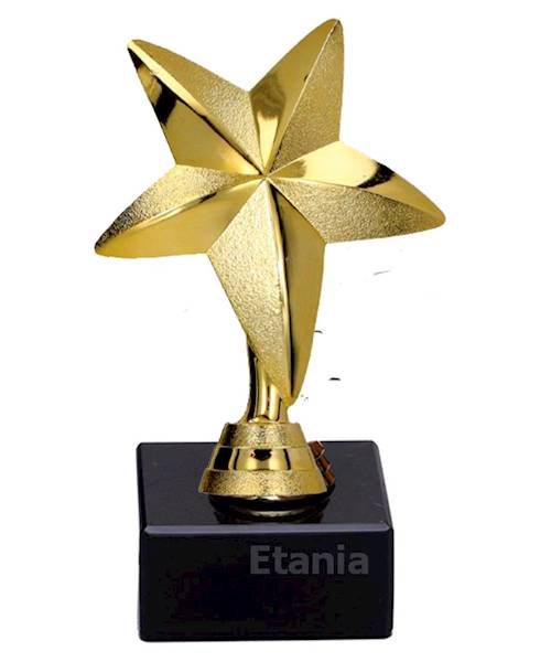 Statuetka TF220 gwiazda