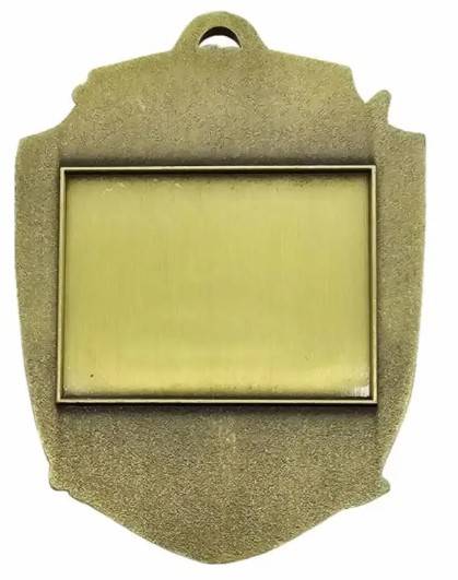 Medal M150 sowa nauka