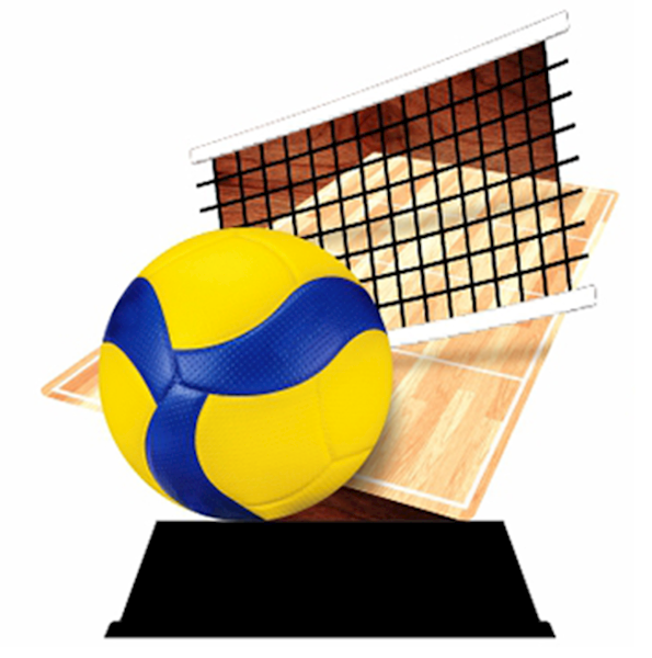 Statuetka DR4/2 siatkówka