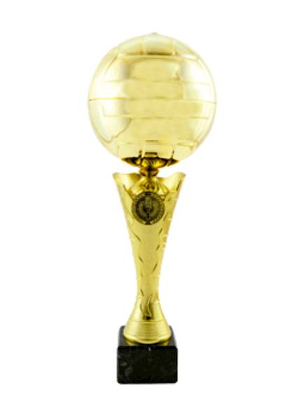 Puchar PD218 B siatkówka