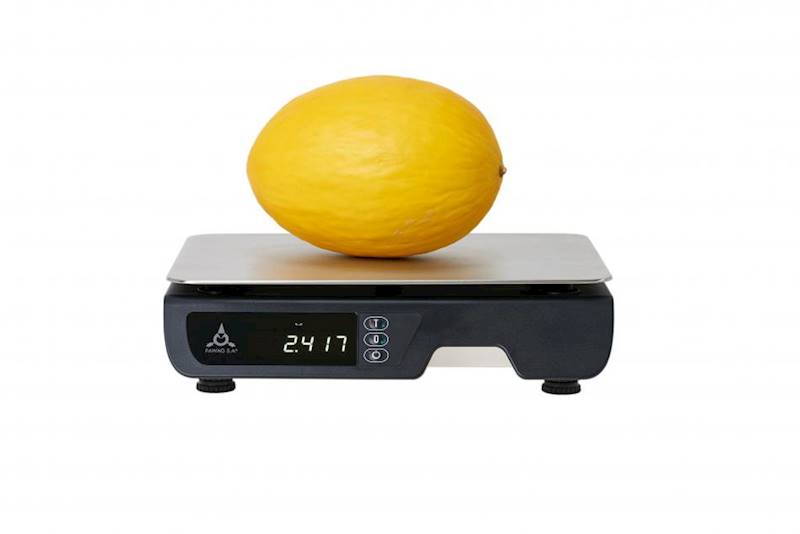 WAGA FAWAG WS1 wer. LCD 6/15 kg, RAL9003/RAL9011