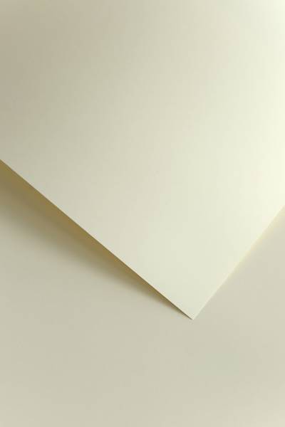 KARTON A4/160G/50 GŁADKI KREM