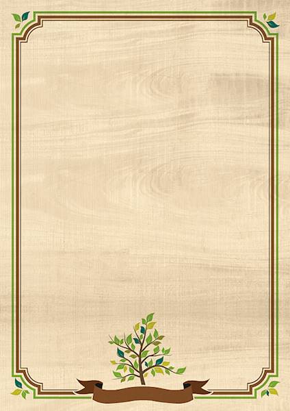 PAPIER DYPLOM NATURA A25 170G 219117