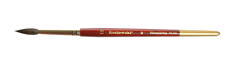 9 nr 6 stożkowy wiewiórka