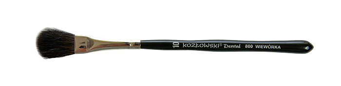 D800 nr 10 płaski zaokrąglony wiewiórka