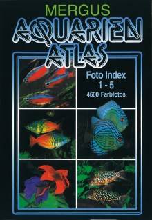 ATLAS AKW. INDEX ANGIELSKI TWARDA OKŁADKA