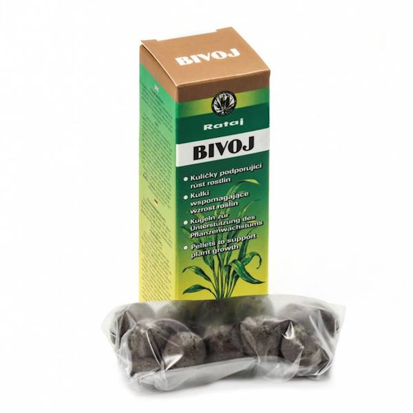 R BIVOJ