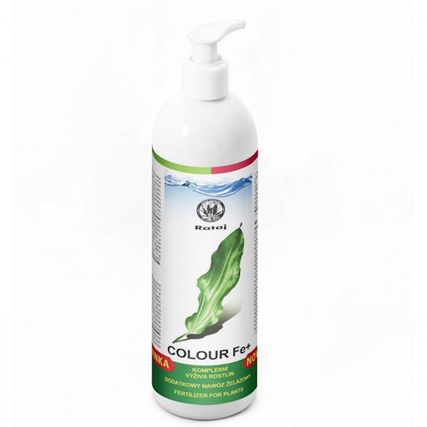 R COLOUR FE 100 ML