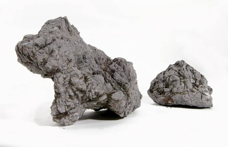 IKOLA SKAŁA BLACKISH LICHEN-BASED