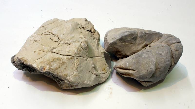 IKOLA SKAŁA SHELL VEIN ROCK GREY