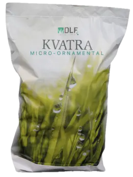 DLF KVATRA MICRO-ORNAMENTAL
